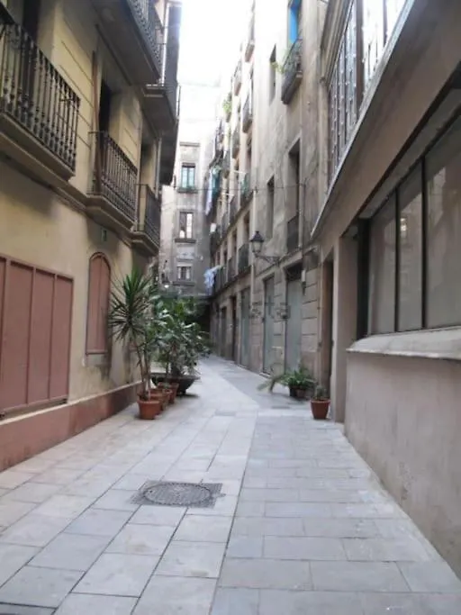 Charm And Privacy In Gothic Quarter - Central Apt By Myrentalhost 巴塞罗那 公寓